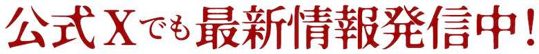 公式X